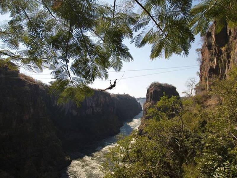 The Canopy Tour - Victoria Falls Activities